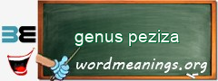 WordMeaning blackboard for genus peziza